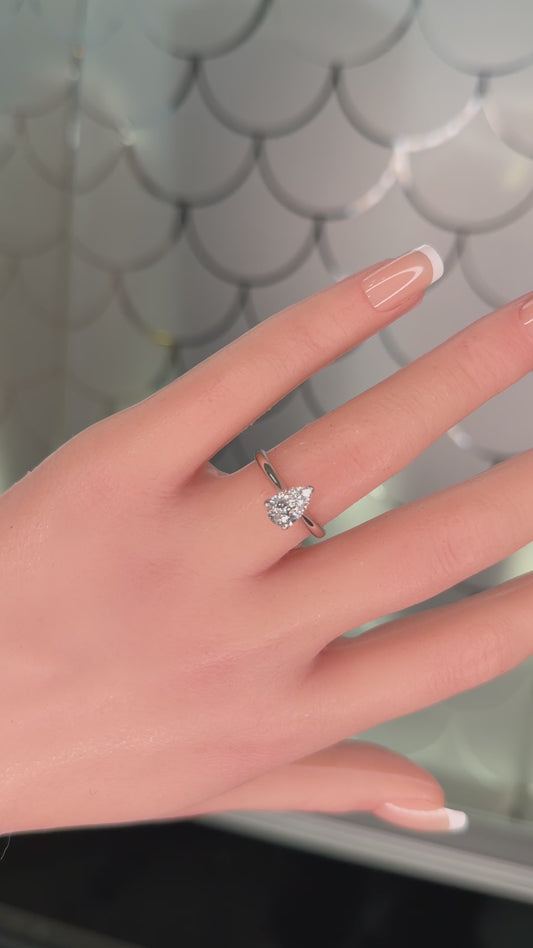 Binson Signature – Pure Poire