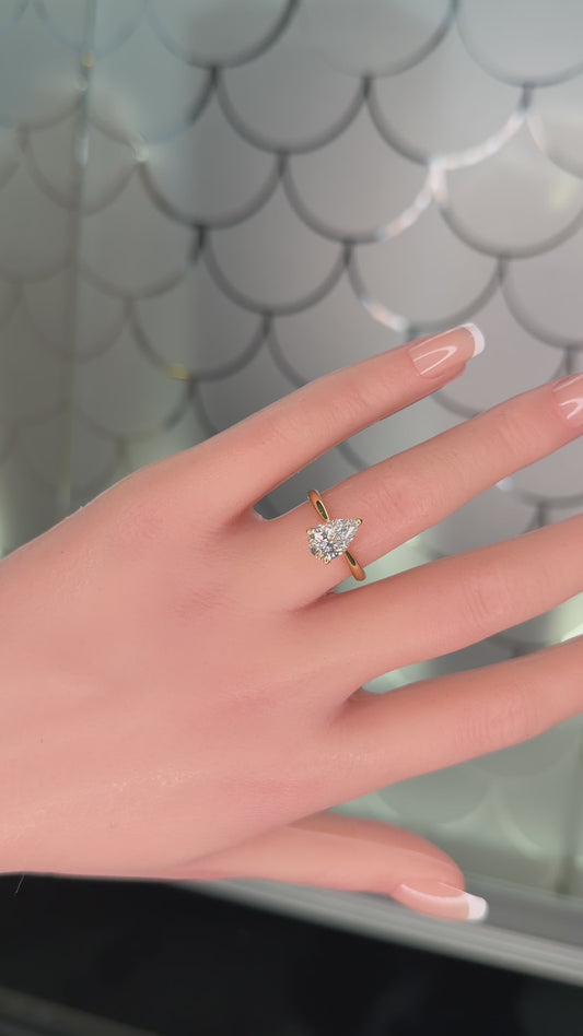 Binson Signature – Solis Poire